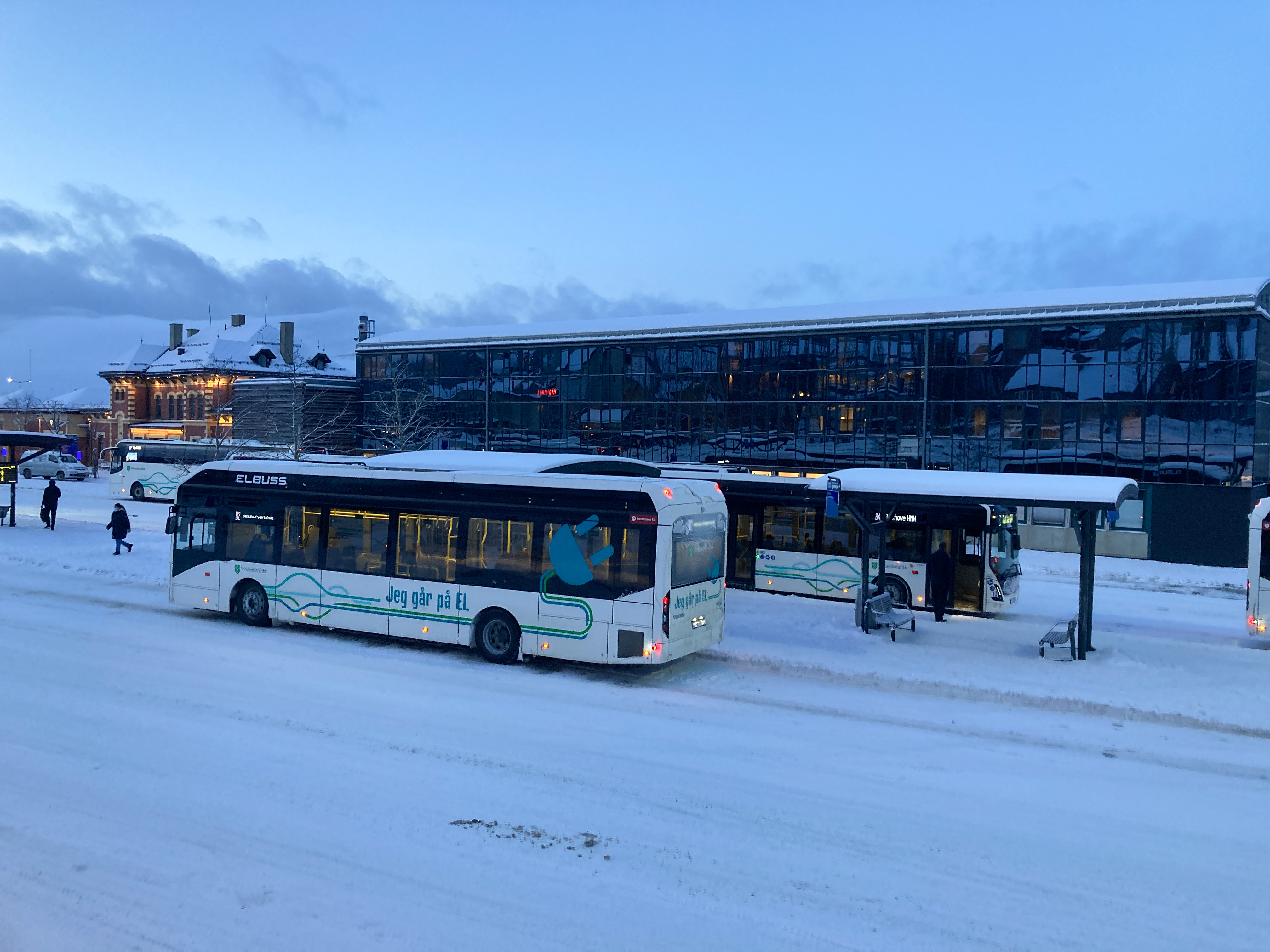 Hvit elbuss i vinterfore