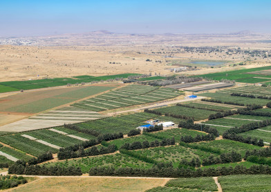 Landbruk i Israel.