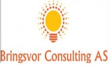 Logo Bringsvor consulting